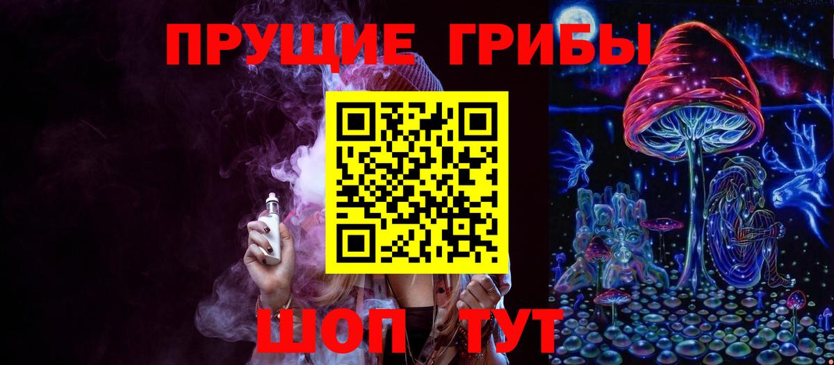 Псилоцибиновые грибы Psilocybe  Вход с VPN  Новошахтинск 