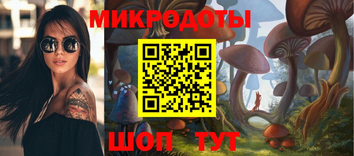 Псилоцибиновые грибы Psilocybe Новошахтинск