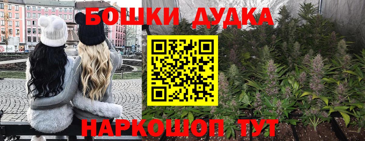 Канабис конопля  Конопля Bruce Banner  Новошахтинск  Каннабис семена  Вход с VPN 